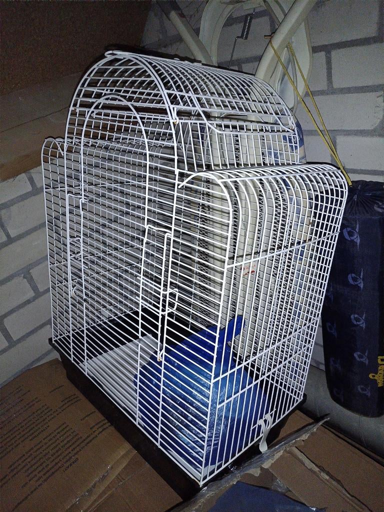 Grote vogelkooi, Dieren en Toebehoren, Ophalen