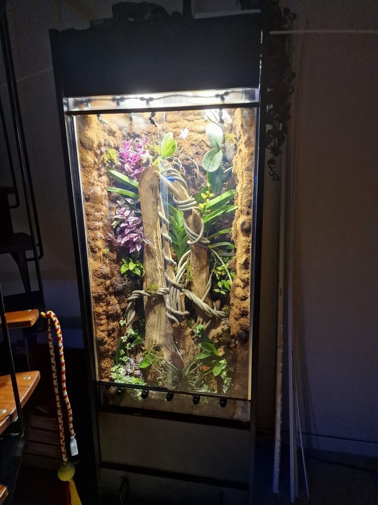 Zelfbouw paludarium uniek en groot, Ophalen