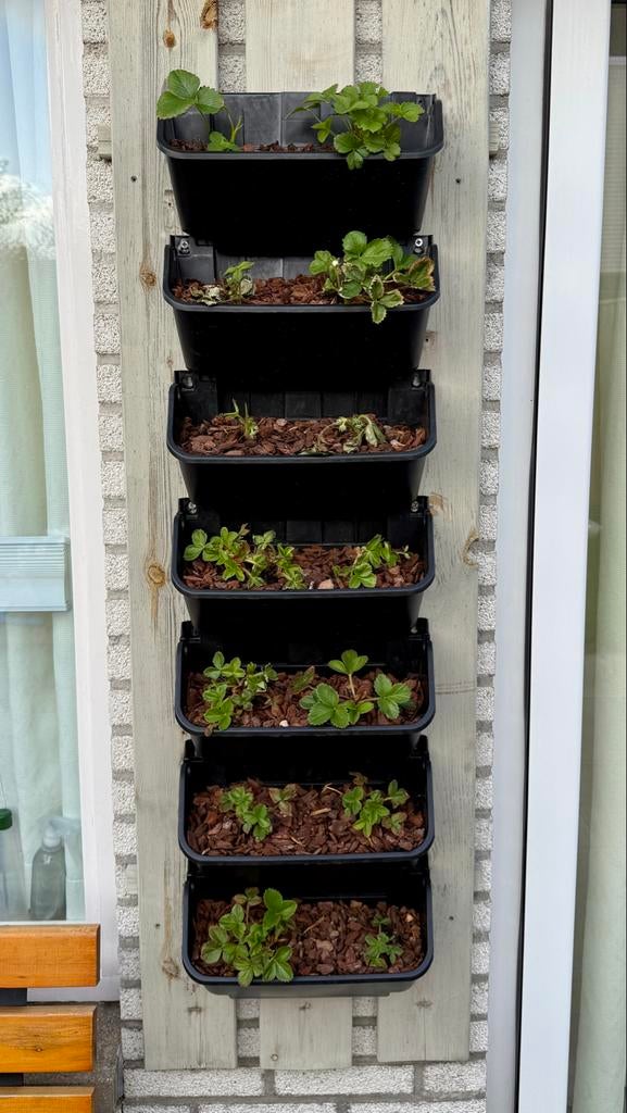 Verticale plantenbakken voor aardbeien of kruiden, Tuin en Terras, Kunststof, Minder dan 30 cm, Minder dan 60 cm, Nieuw