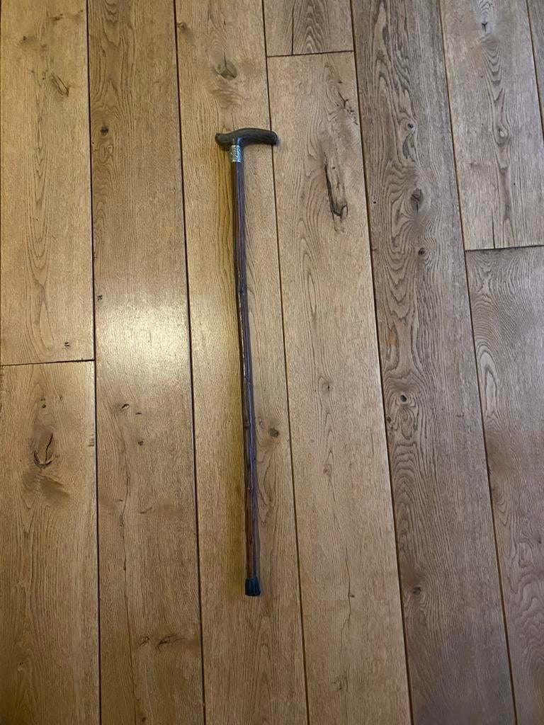 Houten wandelstok, Diversen, Wandelstokken, Ophalen, Zo goed als nieuw