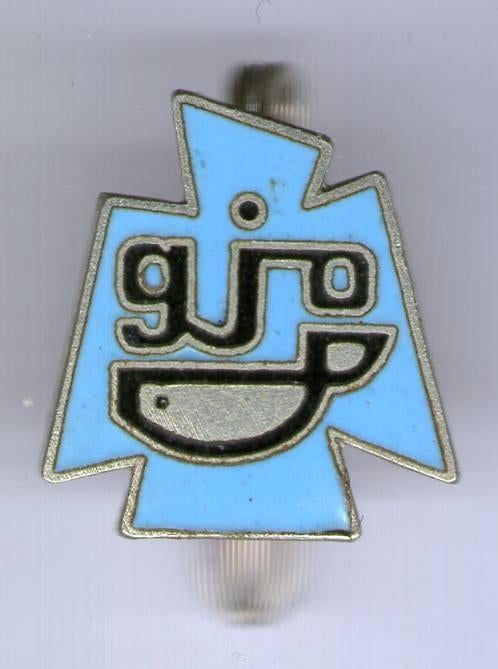 Gereformeerde Jeugdwerk Organisatie email broche ( P_154 ), Verzamelen, Speldjes, Pins en Buttons, Verzenden, Zo goed als nieuw