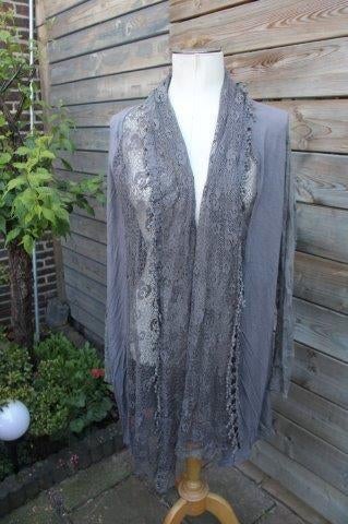 MAIS IL EST OU LE SOLEIL Vest grijs kant mt XL Vast OPRUIMIN, Kleding | Dames, Truien en Vesten, Zo goed als nieuw, Maat 46/48 (XL) of groter