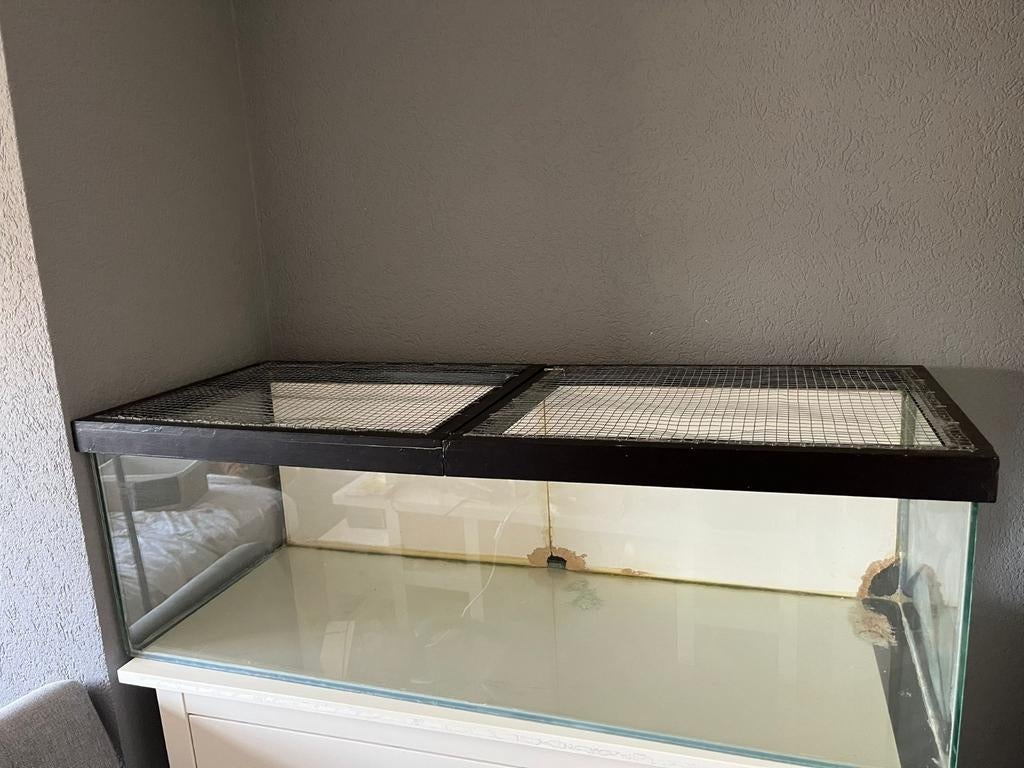 Aquarium voor knaagdieren hamster muis cavia, Ophalen, Hok, Hamster, Minder dan 60 cm