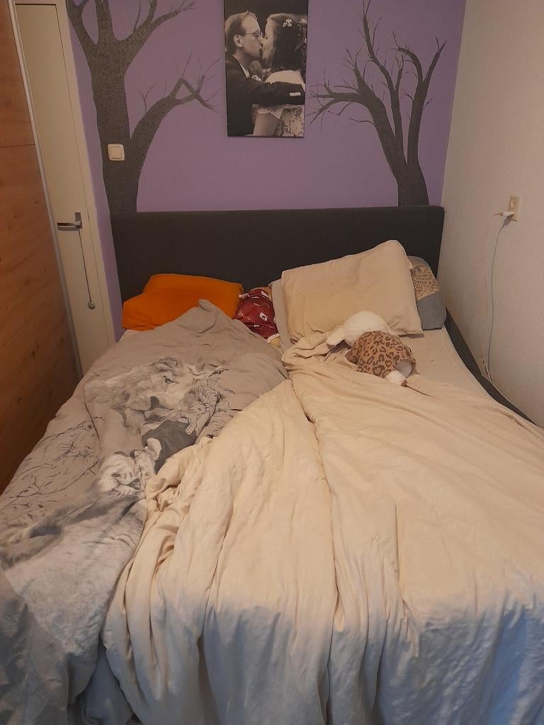 Gratis elektrisch 2-persoonsbed 160x200, Ophalen of Verzenden