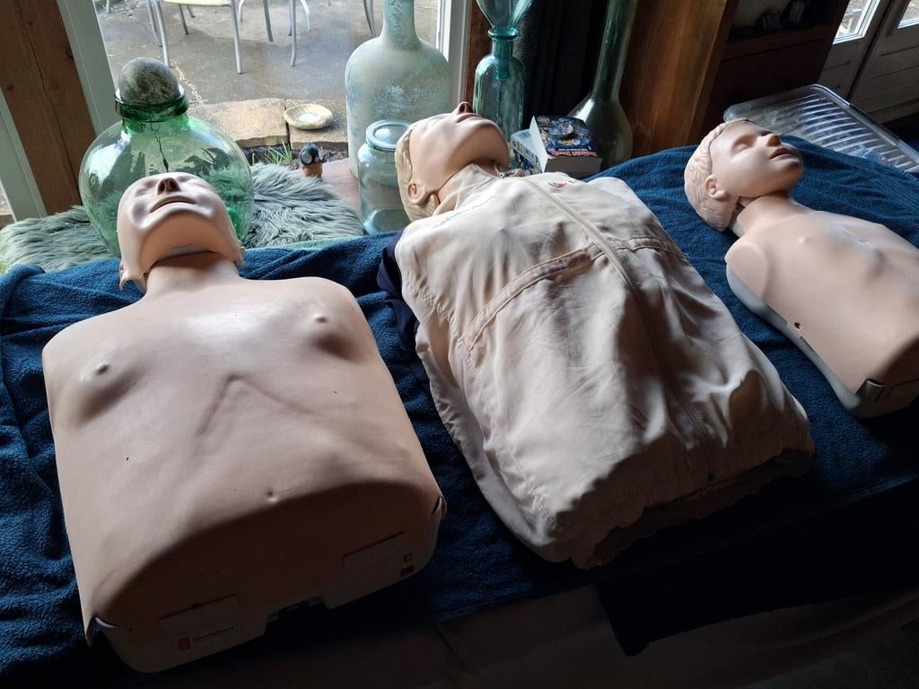 Laerdal little Anne. Torso, Ophalen of Verzenden, Gebruikt, Meerdere media