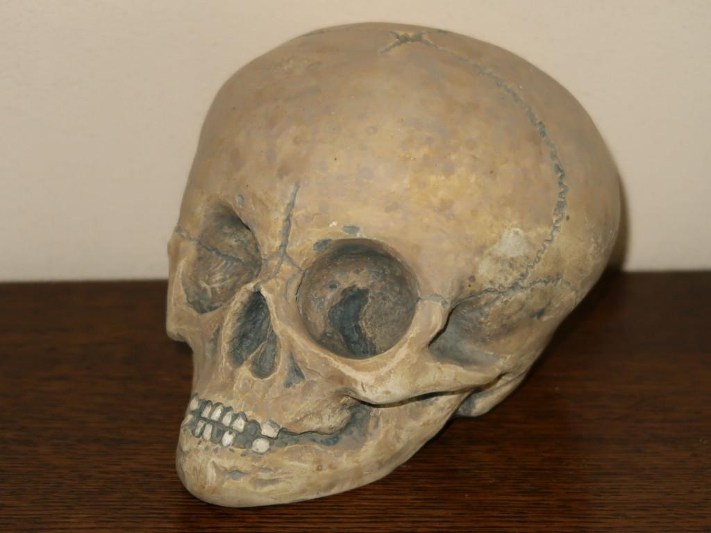 REPLICA Dreumes Schedel kind, handgemaakte Baby Skull mens, Verzamelen, Dierenverzamelingen, Nieuw, Schedel, Overige soorten, Ophalen of Verzenden