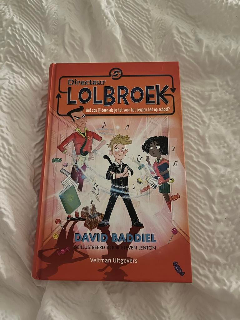 Directeur Lolbroek - David Baddiel, Ophalen, Zo goed als nieuw, Fictie algemeen