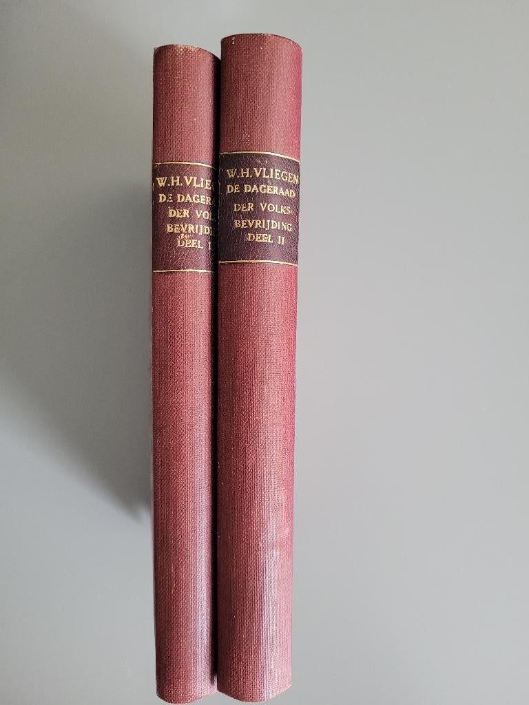 DE DAGERAAD DER VOLKSBEVRIJDING, Politiek en Staatkunde, Nederland, W.H. Vliegen, Ophalen