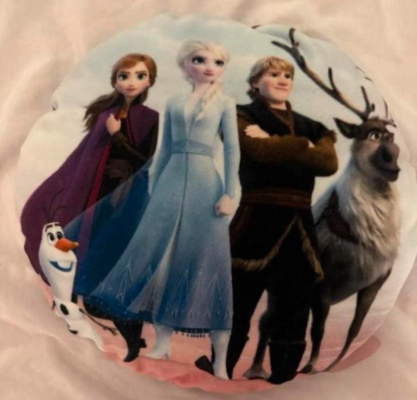 Frozen Kussen - Lekker Zacht!, Ophalen of Verzenden, Zo goed als nieuw, Overige kleuren, Rond