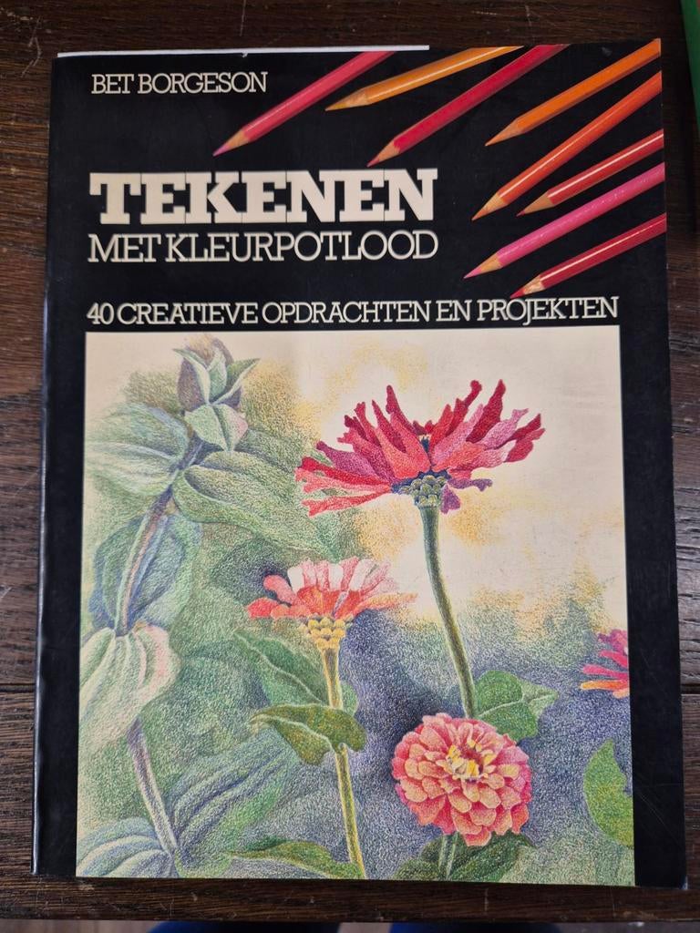 Tekenen met kleurpotlood - Bet Borgeson, Boeken, Bet Borgeson, Ophalen of Verzenden, Zo goed als nieuw, Tekenen en Schilderen