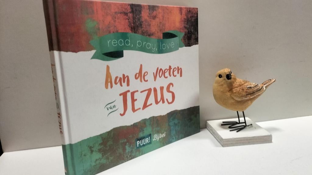 Schotanus, Anne; Zitten aan de voeten van Jezus, Boeken, Ophalen of Verzenden, Gelezen, Christendom | Protestants