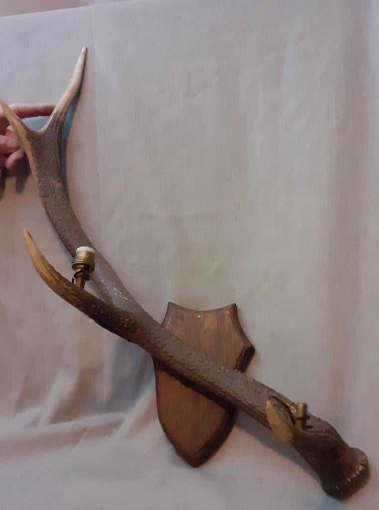 gewei van hert op eiken wandbord, lamp ( herstel projectje), Ophalen of Verzenden, Hert