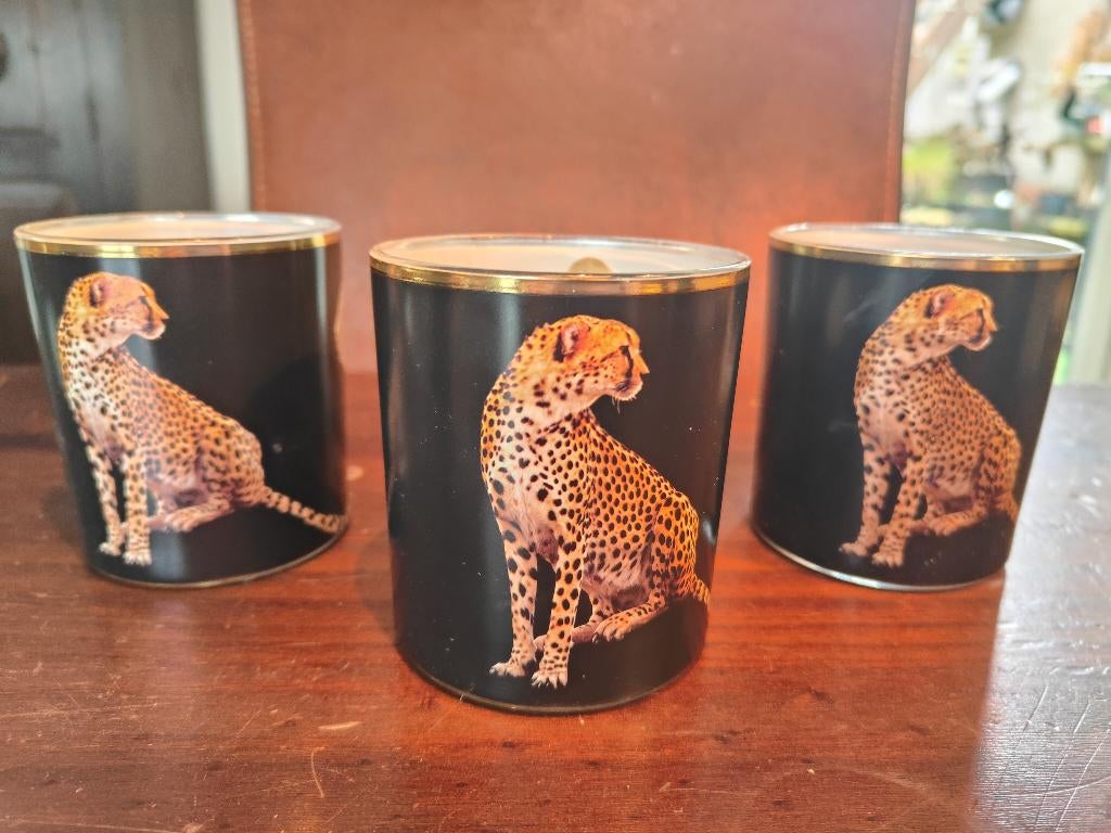 Geurkaarsen en muurcdeco luipaard, Overige materialen, Ophalen of Verzenden, Zo goed als nieuw, Groen