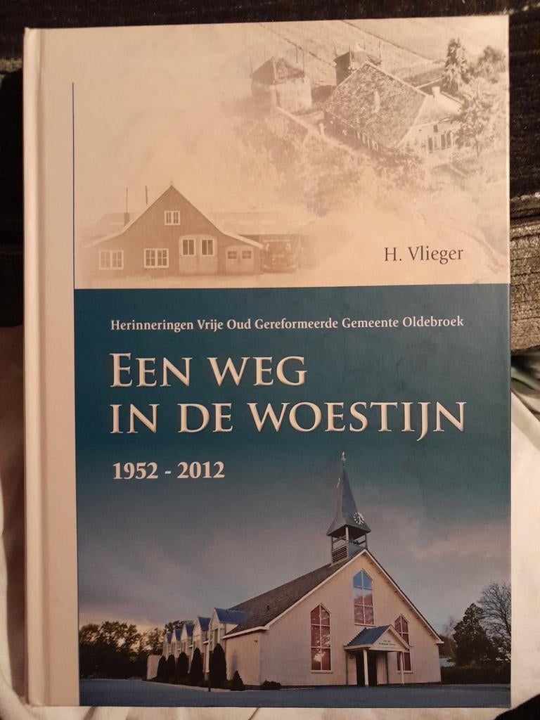 H. Vlieger - Een weg in de woestijn, Ophalen of Verzenden, Zo goed als nieuw, H. Vlieger