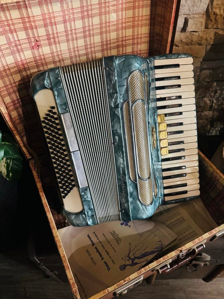 Charron Frères Accordeon - Vintage uit ca 1960 met koffer, Muziek en Instrumenten, Overige merken, Gebruikt, Overige formaten