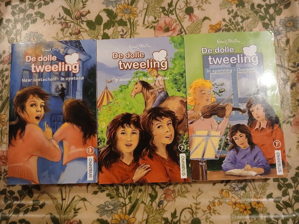 Enid Blyton - Complete serie van De dolle tweeling, Boeken, Kinderboeken | Jeugd | 10 tot 12 jaar, Ophalen of Verzenden, Zo goed als nieuw