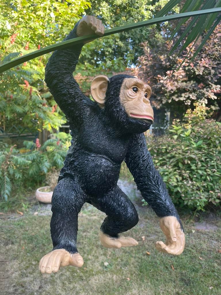 Hangende aap chimpansee beeld tuin dierentuin nieuw, Ophalen, Nieuw, Kunststof, Dierenbeeld