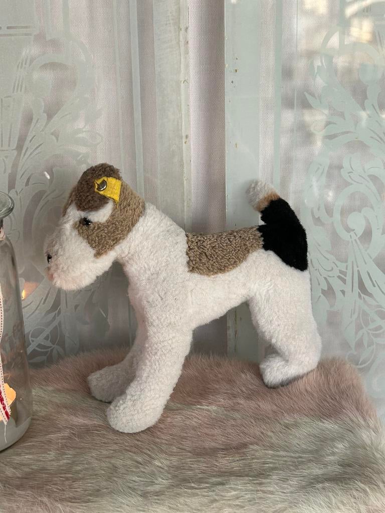 Fox terrier Steiff vintage izgst mit knopff im ohr, Ophalen of Verzenden