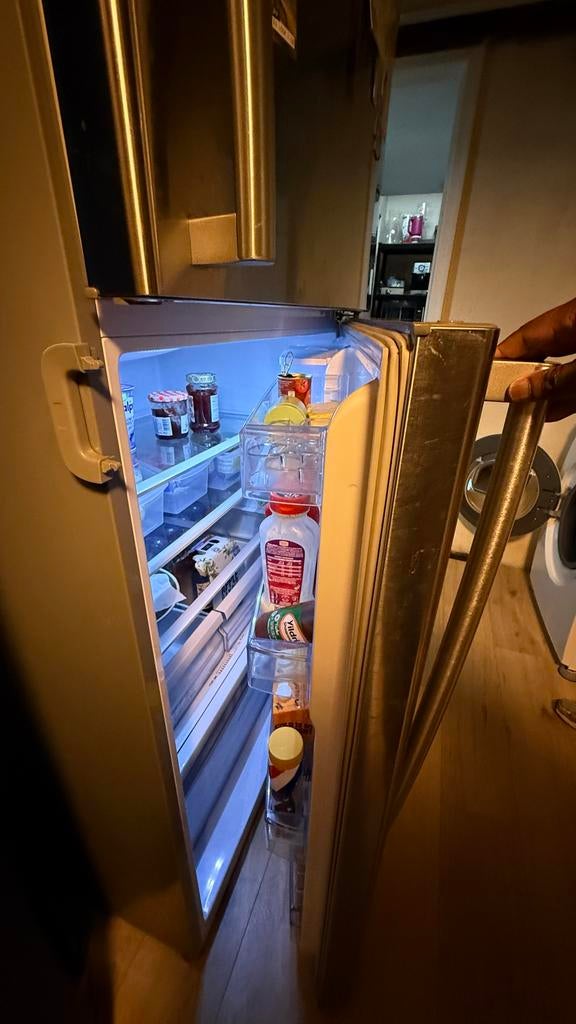 Grote RVS Koelkast met Vriezer en Waterdispenser, Ophalen, Gebruikt, 200 liter of meer, 60 cm of meer