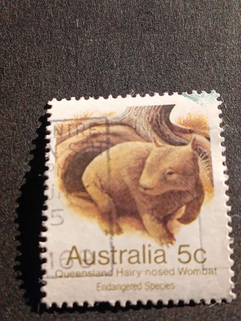 Australische postzegel - Queensland Hairy-nosed Wombat, Ophalen of Verzenden