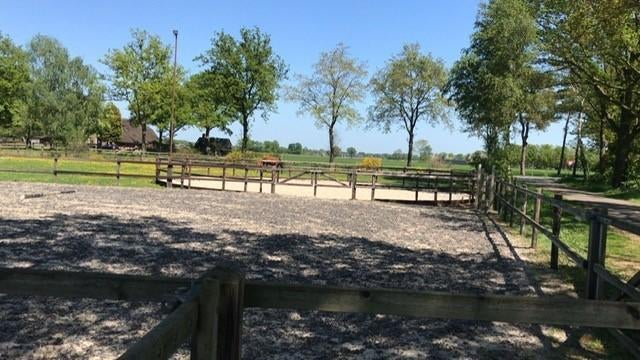 Twee paardenboxen en rijfaciliteiten te huur!, Dieren en Toebehoren, Stalling en Weidegang, Weidegang, 2 of 3 paarden of pony's