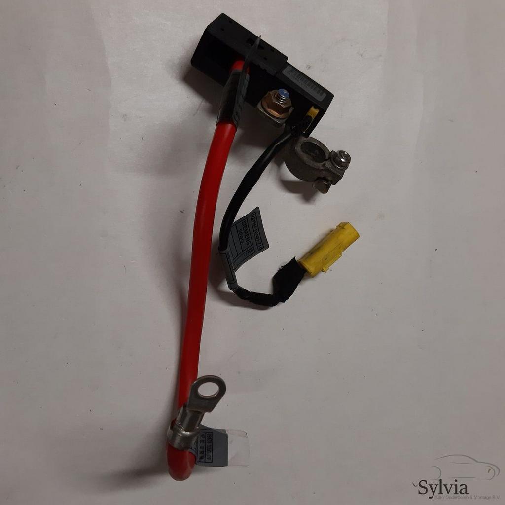 Kabelboom hoofdstroom pluskabel BMW 3 Serie E46 met ongeval, Gebruikt, -, -, Ophalen of Verzenden