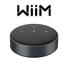 WiiM Mini – Compacte Hi-Res Audio Streamer, Ophalen of Verzenden, Nieuw