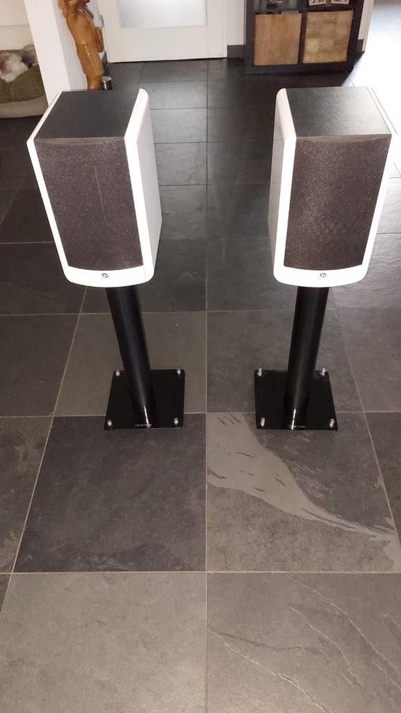 Boston Acoustic A25 speakers met stands, Audio, Tv en Foto, Luidsprekers, Zo goed als nieuw, 60 tot 120 watt, Front, Rear of Stereo speakers