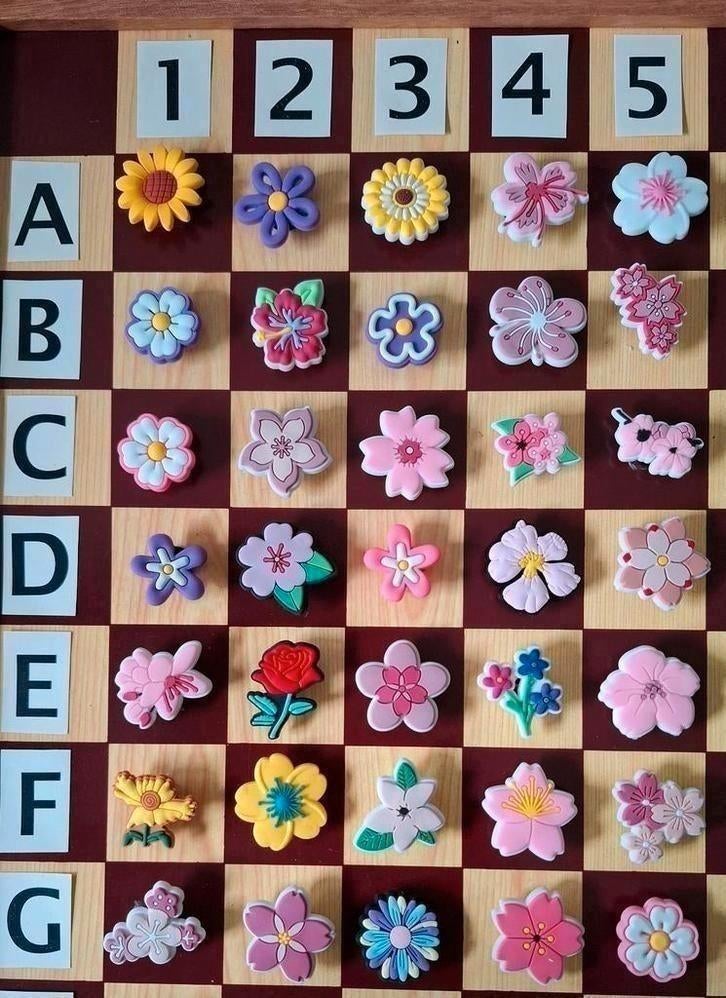 5: Bloemen Schoenbedels Pins voor de Crocs, Ophalen of Verzenden, Nieuw