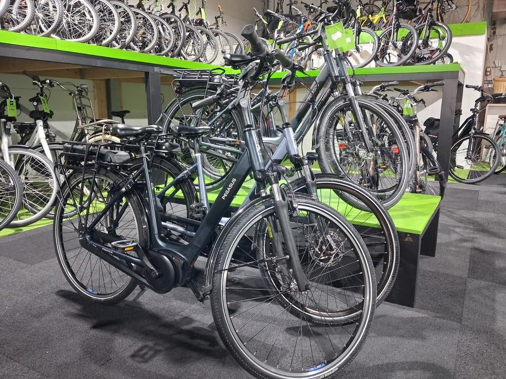 Pegasus siena plus 400wh bosch active line plus, 53 tot 56 cm, Versnellingen, Zo goed als nieuw, Ophalen
