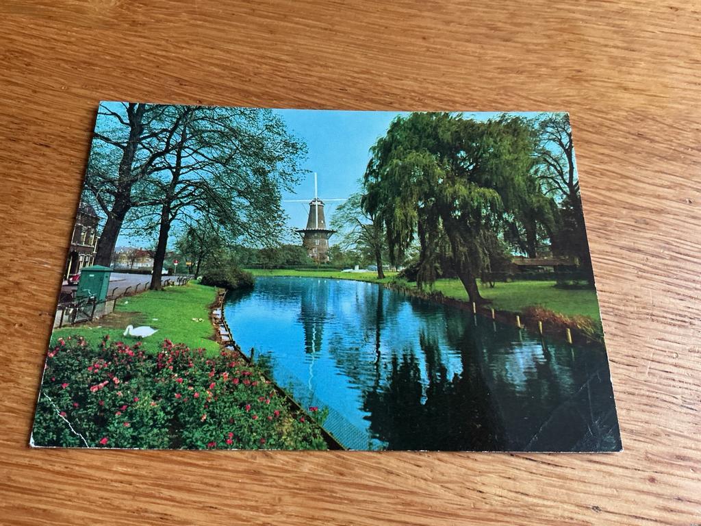 878 molen Leiden zwaan vouw, Ophalen of Verzenden, Zuid-Holland