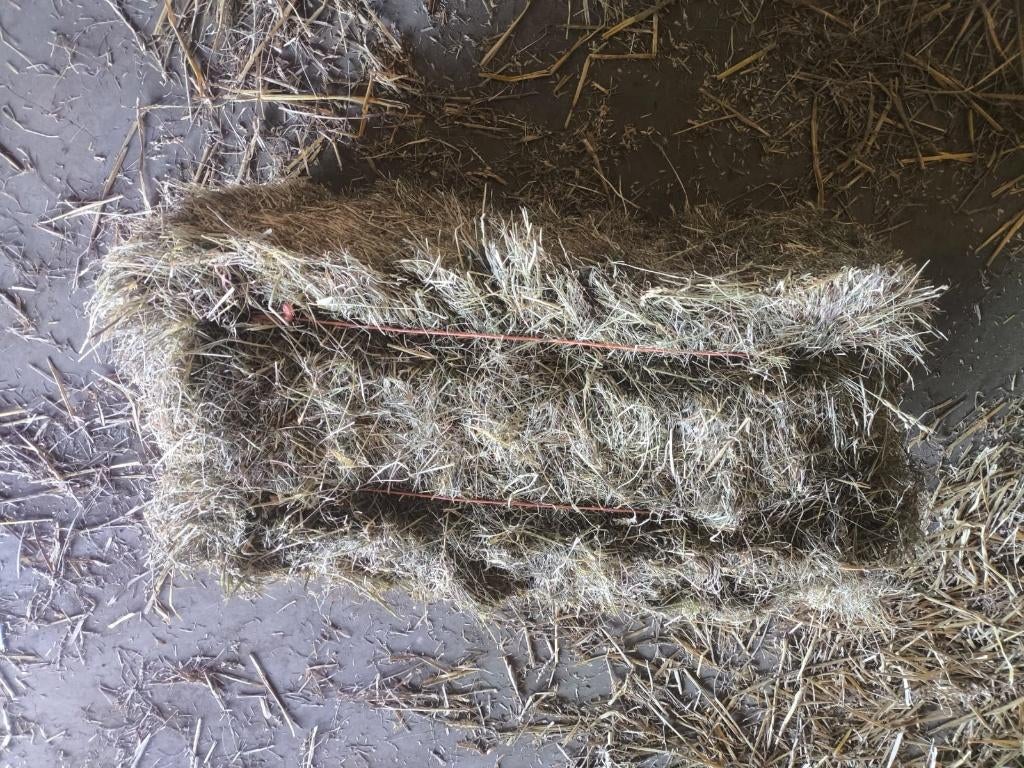 Hooibalen te koop van goede kwaliteit, Dieren en Toebehoren, Ophalen, Vee