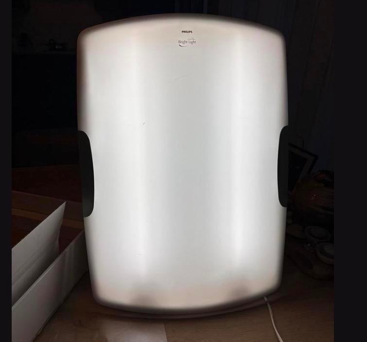 Philips Daglichtlamp - Voor energie en welzijn, Ophalen, Gebruikt, Overige typen