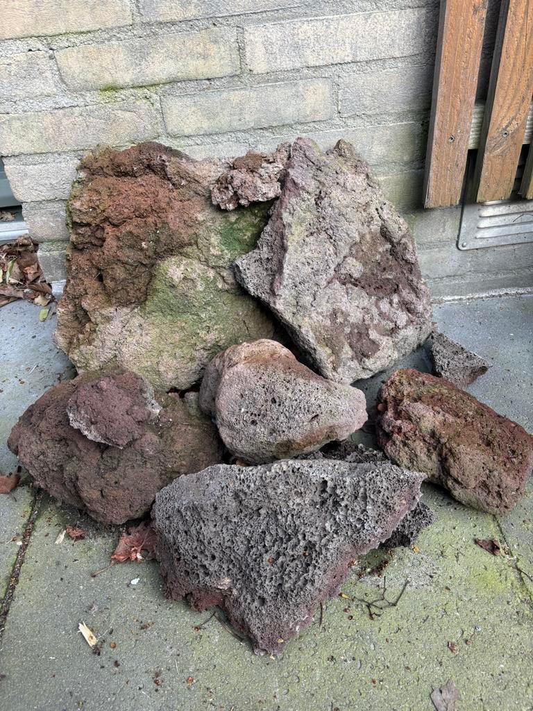 Lavastenen aquascape aquarium stenen, Vis