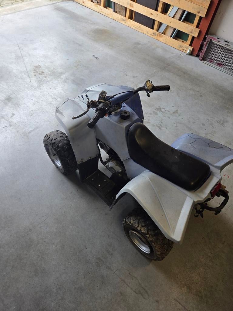 Kinderquad opknapper - Leuk project voor de handige Harry, Motoren, 1 cilinder, 85 cc, 11 kW of minder