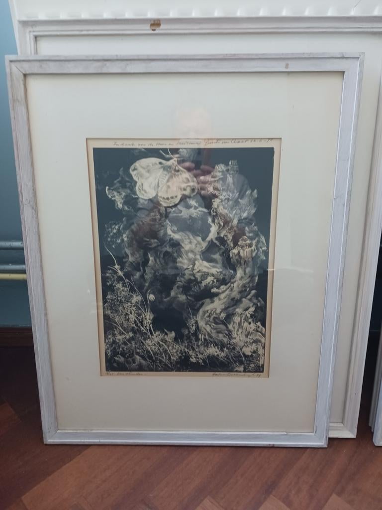 Aart van Dobbenburgh - Een vlinder (lithografie), 1950 - 1999, Ingelijst, Ophalen of Verzenden, Flora en Fauna