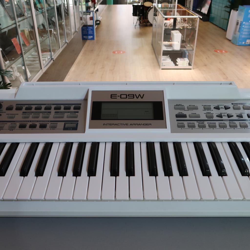 Roland E-09W Interactive Arranger | in Prima Staat, Niet ingevuld, Zo goed als nieuw, Niet ingevuld, Niet ingevuld