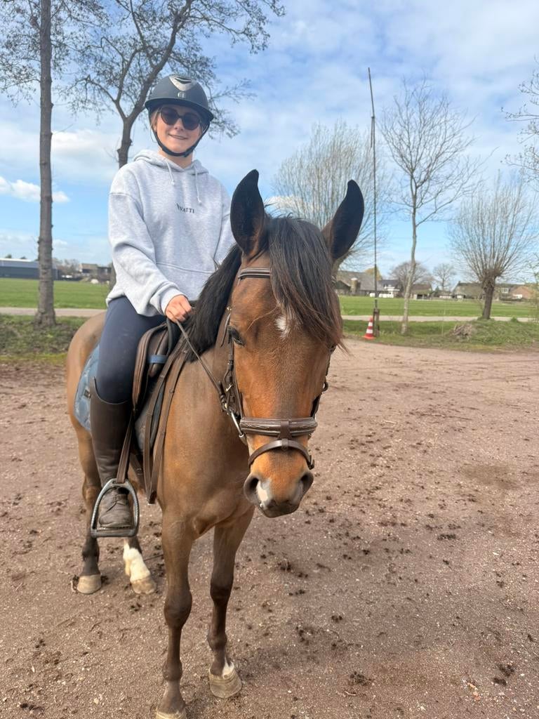 Lieve 3 jarige d pony, Dieren en Toebehoren, Pony's, Met stamboom, Ruin, Springpony, Zadelmak