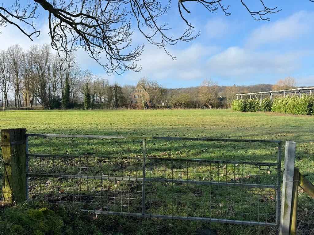 paardenboxen te huur | Rhenen | Wageningen |, Dieren en Toebehoren, Weidegang