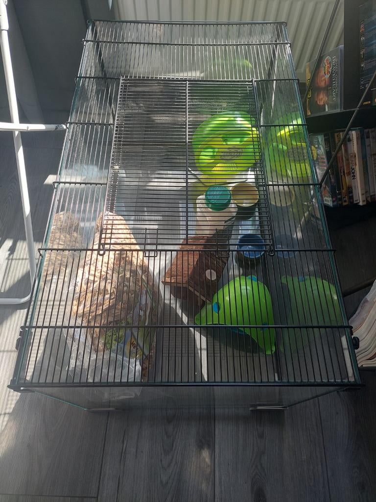 Hamster kooi te koop, Kooi, Gebruikt, Minder dan 75 cm, Hamster