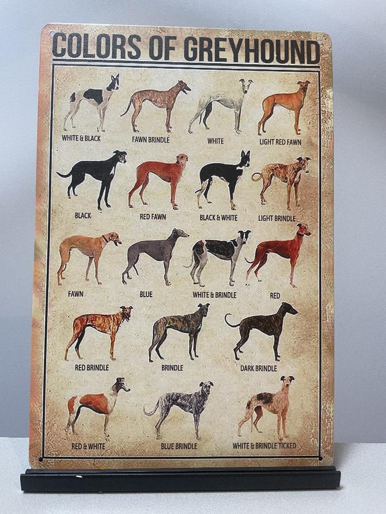 Colors of Greyhound  windhond metalen wandbord (Old Look), Www.pand50.nl, Nieuw, Ophalen of Verzenden, Printer29BCoevorden