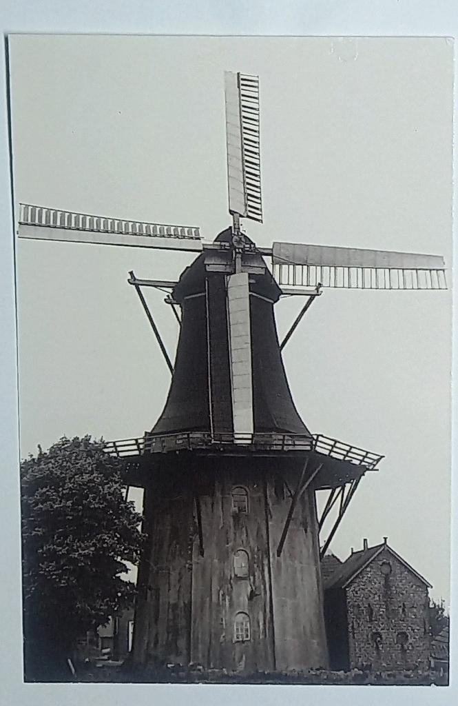 Stedum ( Gr.) Molen De Zilvermeeuw in '36  brand verwoest, Verzamelen, Ansichtkaarten | Nederland, Verzenden, 1980 tot heden, Ongelopen