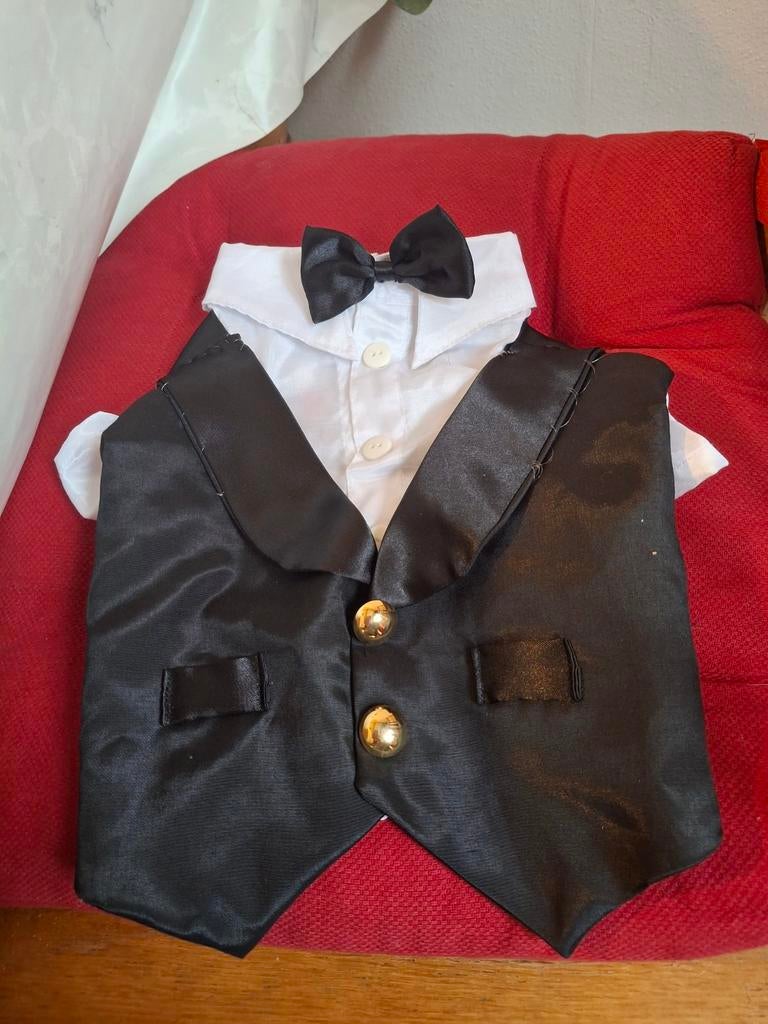 Honden jacquet, Ophalen of Verzenden