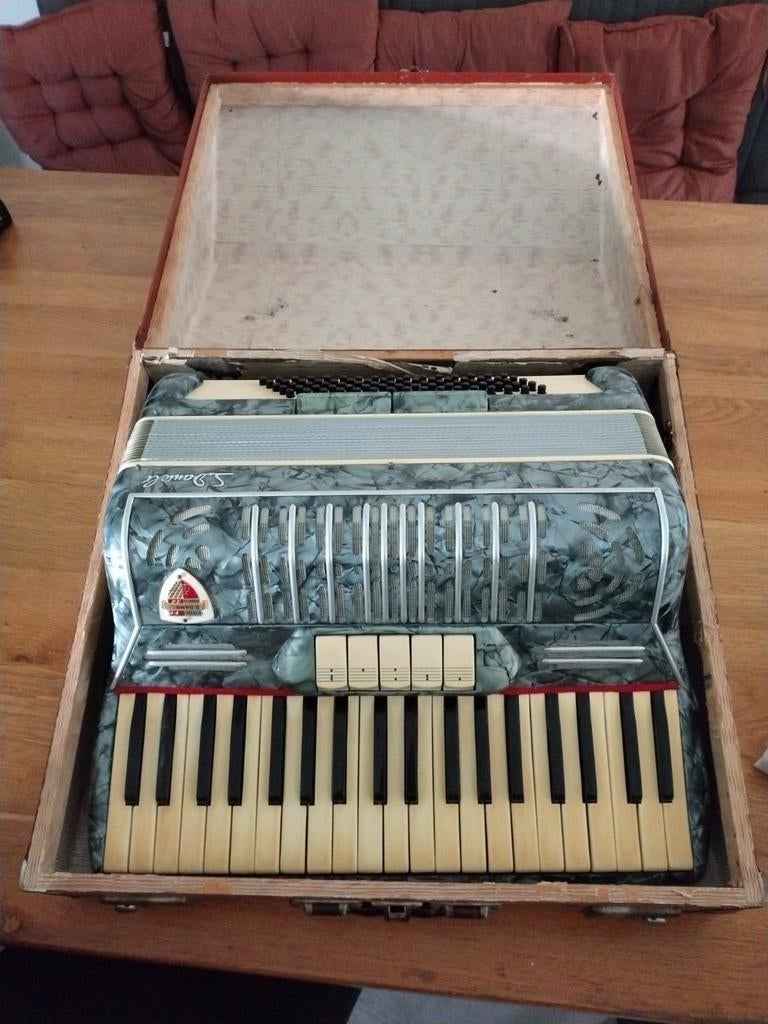 Accordeon S.Danieli - Vintage Toetsaccordeon met Koffer, Muziek en Instrumenten, Accordeons, Gebruikt, Toetsaccordeon, Met koffer