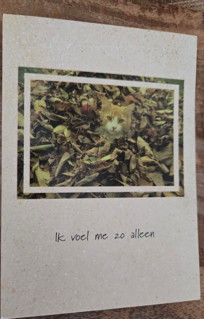 Poesje tussen de bladeren, Verzenden, Ongelopen, Hond of Kat