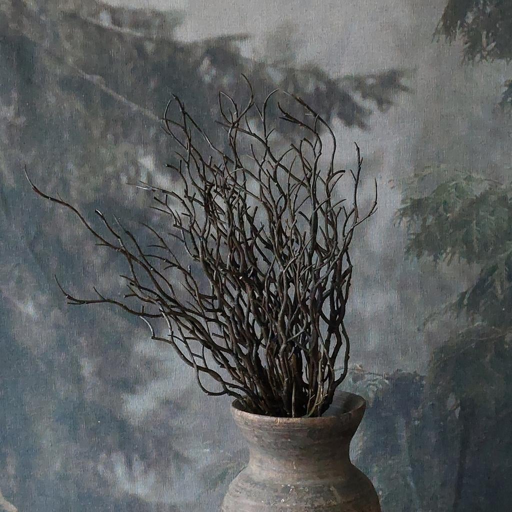 Bosje bessentakken bruin., Ophalen of Verzenden