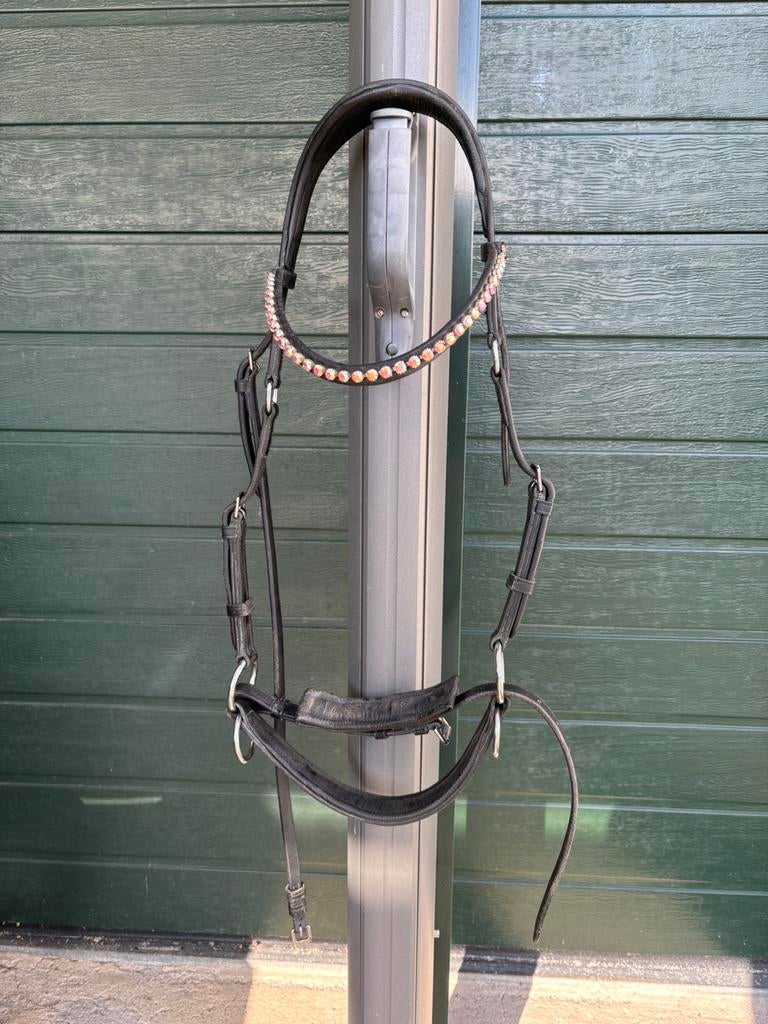 Bitloos Hoofdstel, Ophalen, Gebruikt, Dressuur