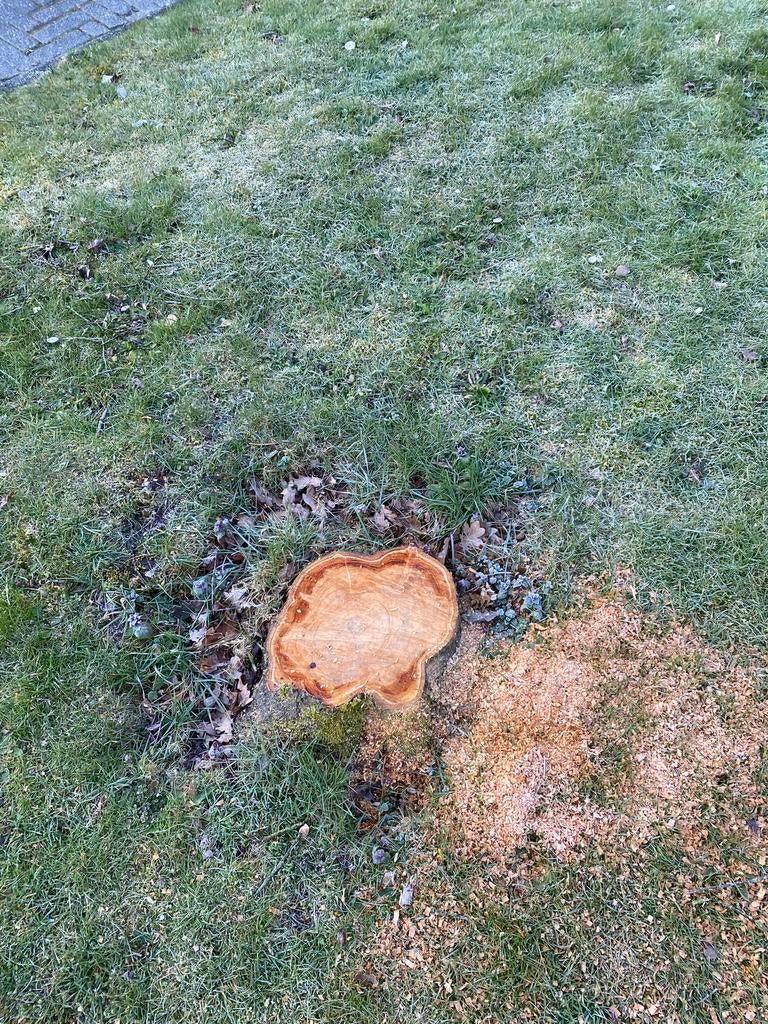 Stobben frezen / Boomstronken verwijderen