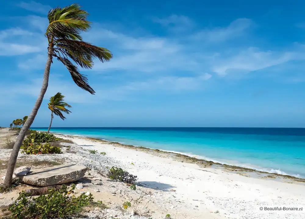 2x Vlucht Deluxe Class Amsterdam - Bonaire 22/6–3/7 2026, Twee personen, Vliegtuig, Met bestemming of datum