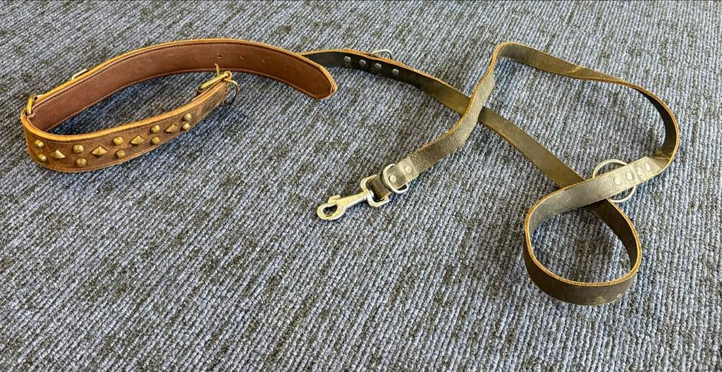 Hondenhalsband en hondenriem voor grote hond, Ophalen, Nieuw